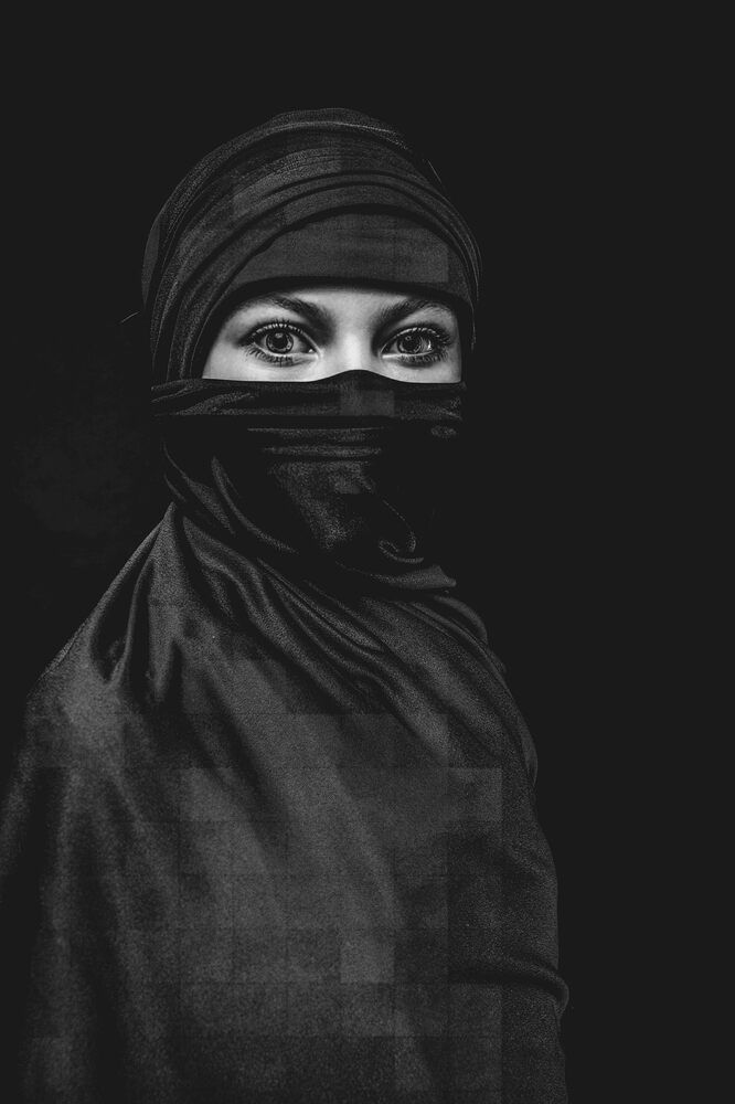 Фотография автора Robert Stein