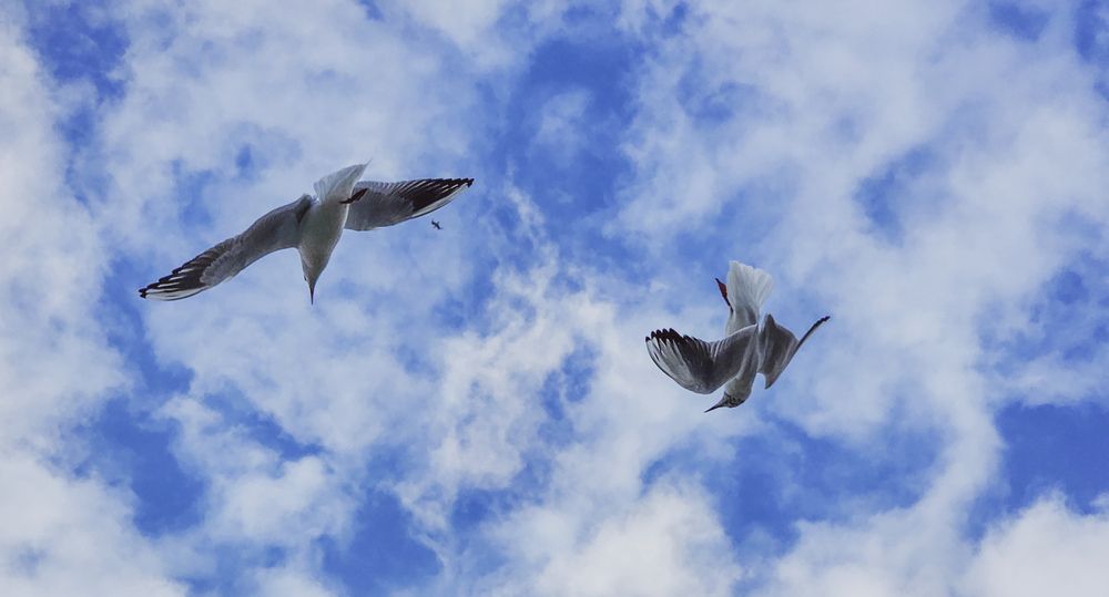 Photograph by Ahmed Ehab Akl