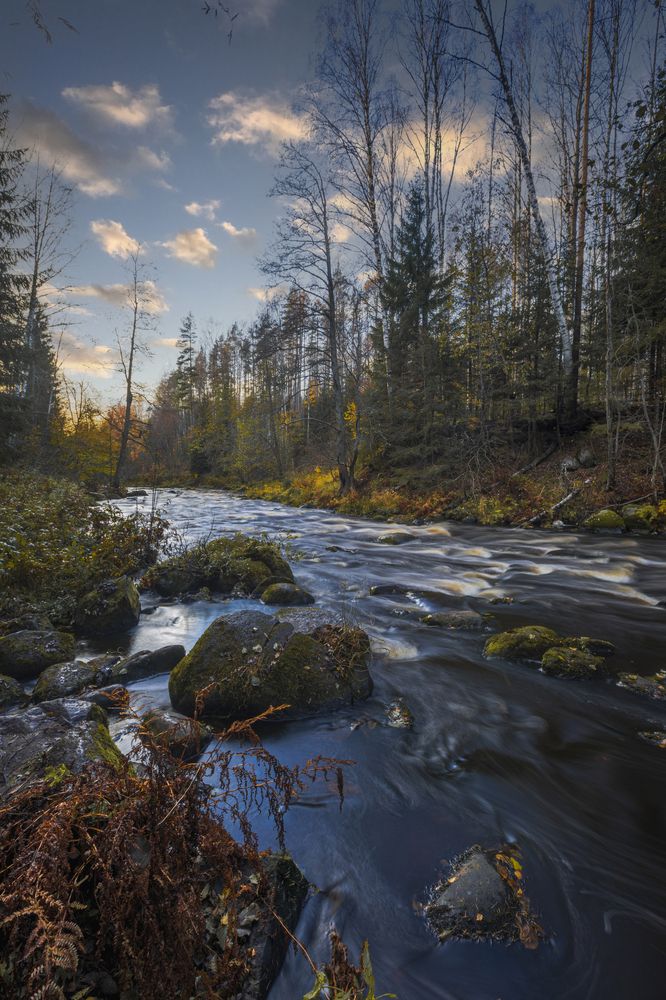 Photograph by Дмитрий Катаругин