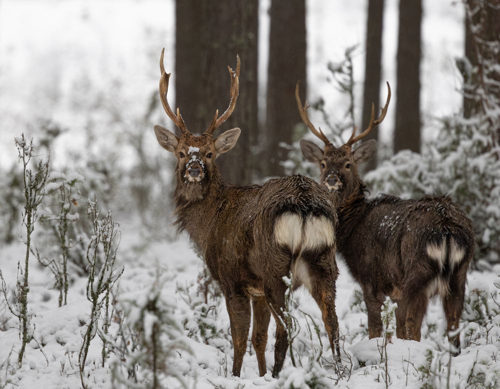 Фотография автора Ольга Мисько