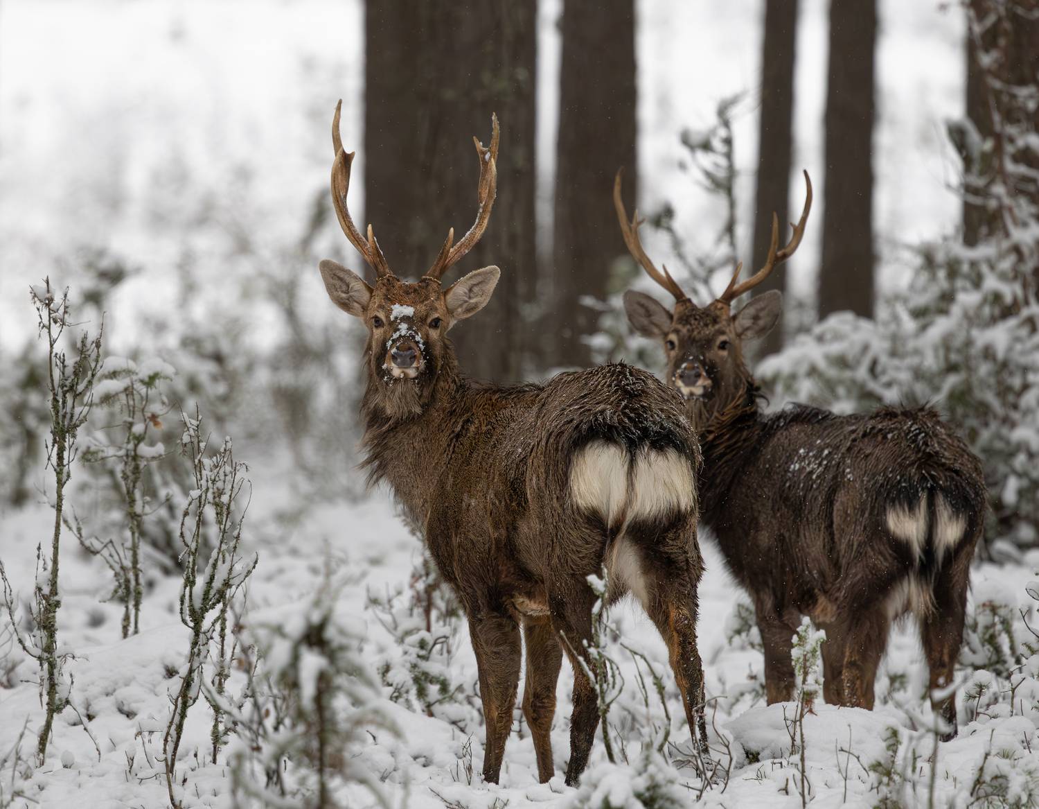 Фотография #11960954