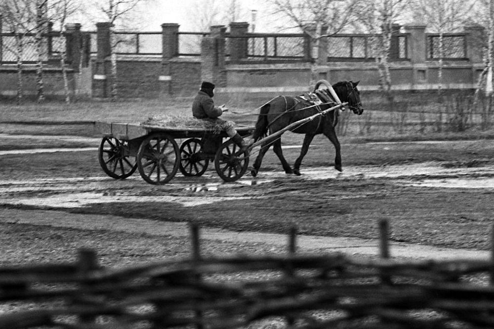 Photograph by Cергей Абакумов