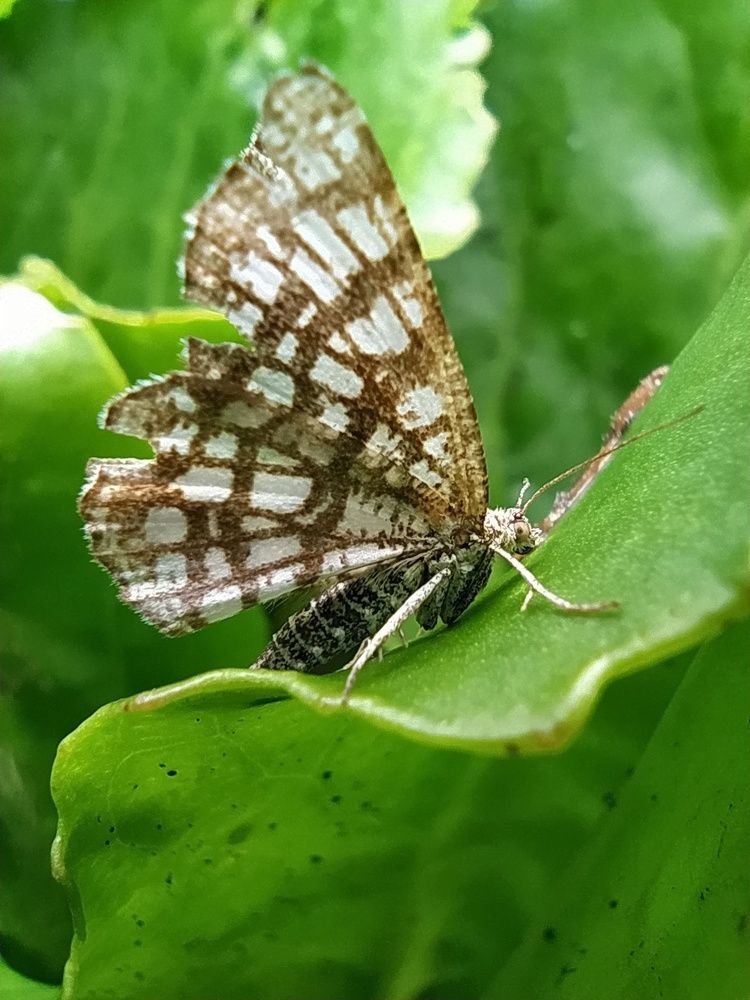 Photograph by Юрий Гордеев