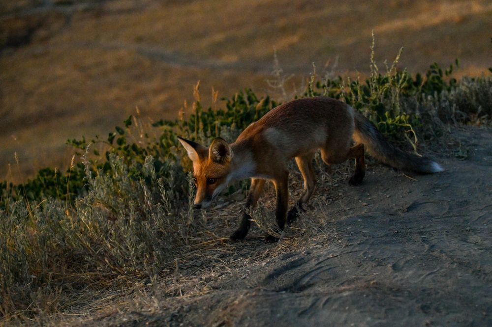 Фотография автора Alexandra Elagina