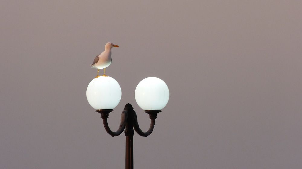 Photograph by Ольга Рыбникова