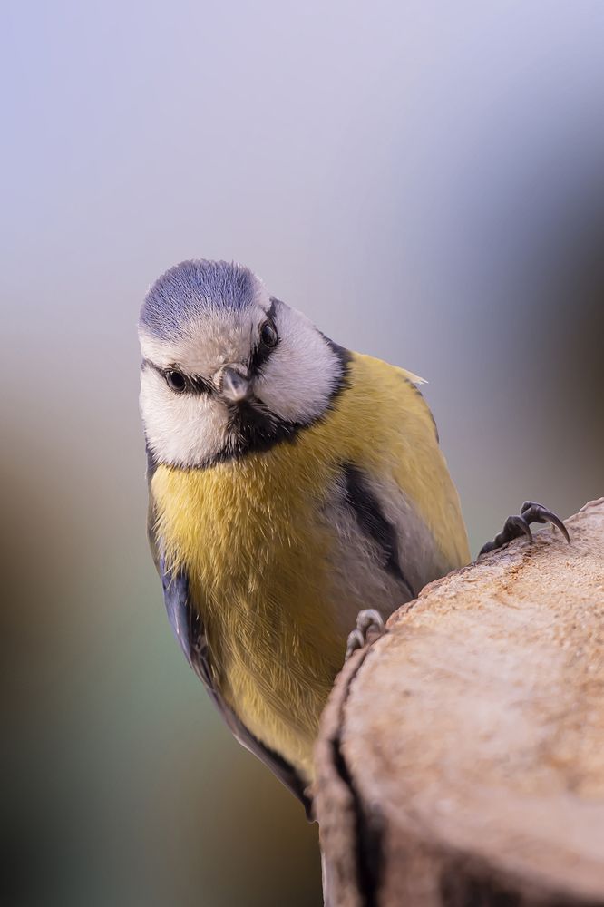 Photograph by Бурикова Екатерина