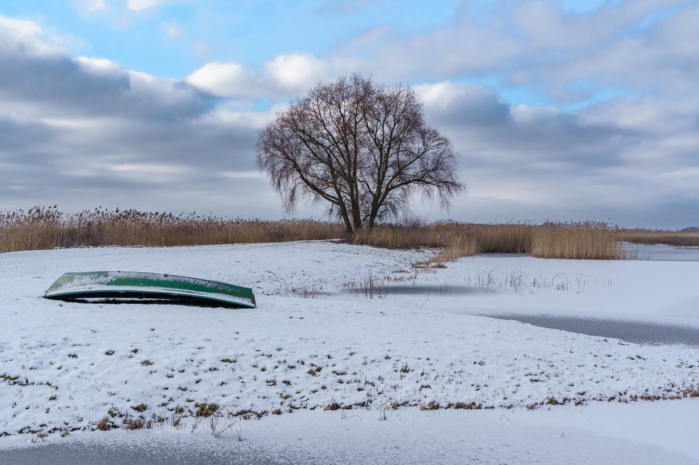 Фотография автора Erika
