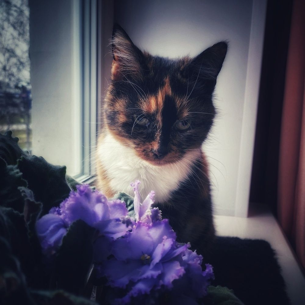 Фотография автора Татьяна Сякина