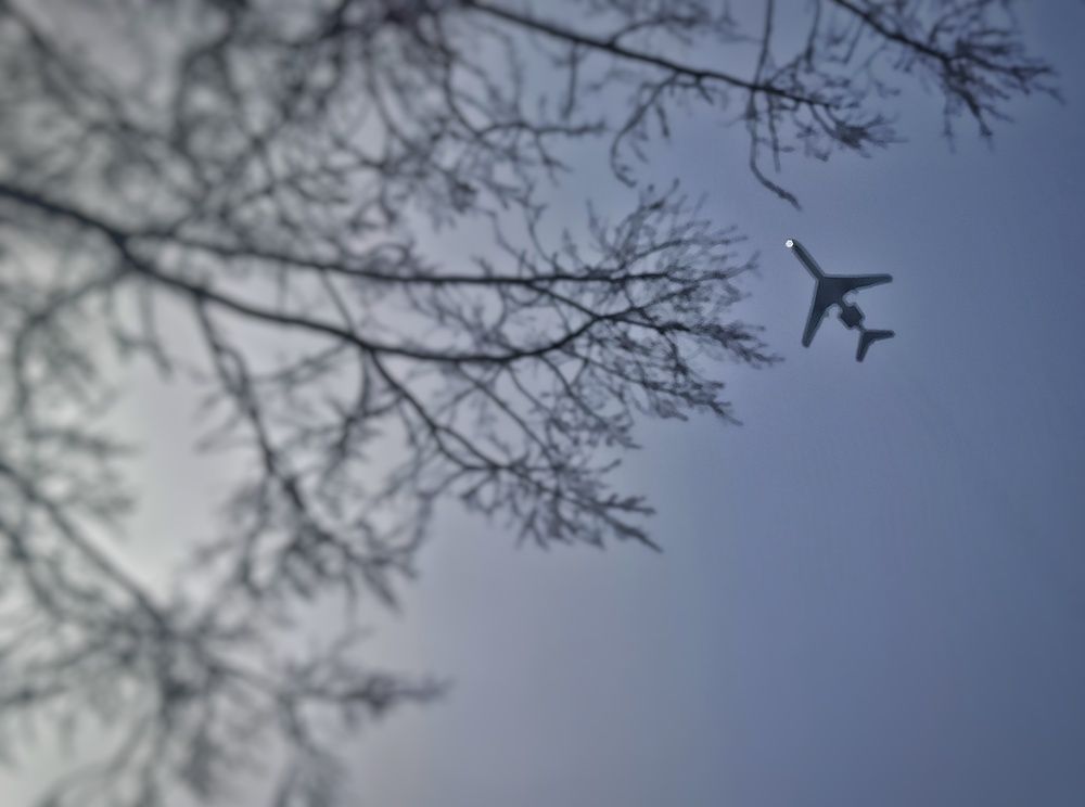 Photograph by Александр Никонов