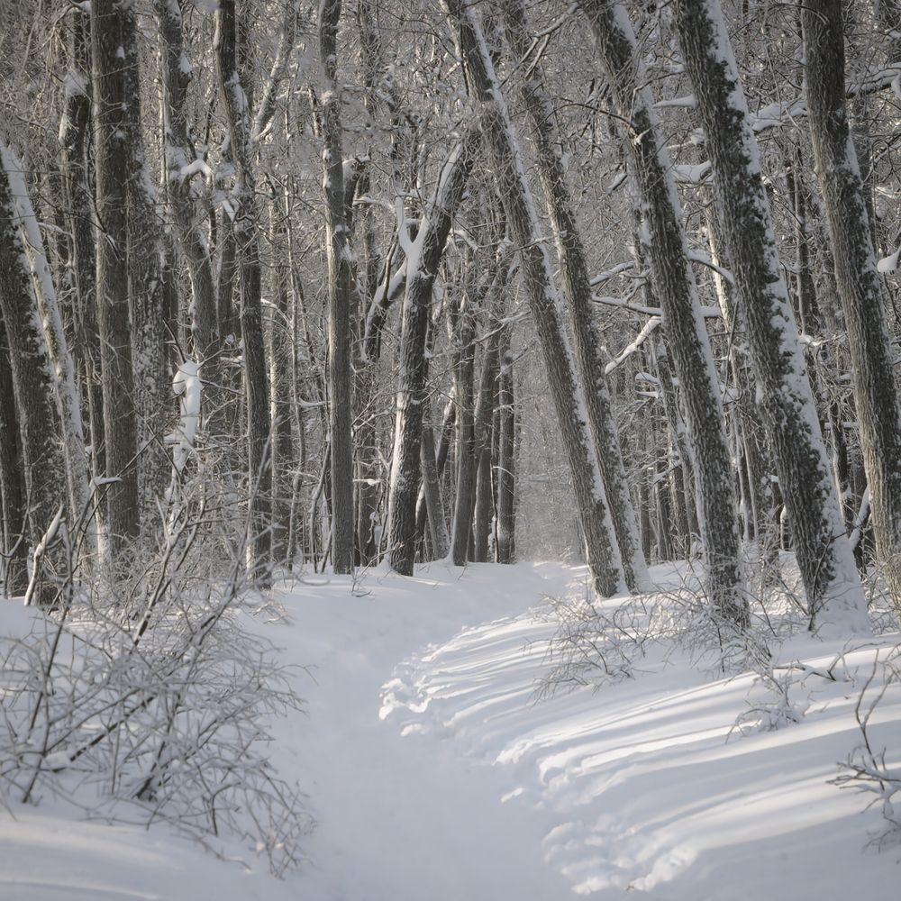 Photograph by Блашкин Павел