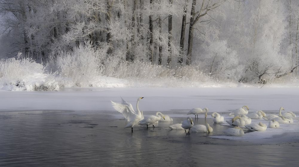 Photograph by Ольга Челдыкова