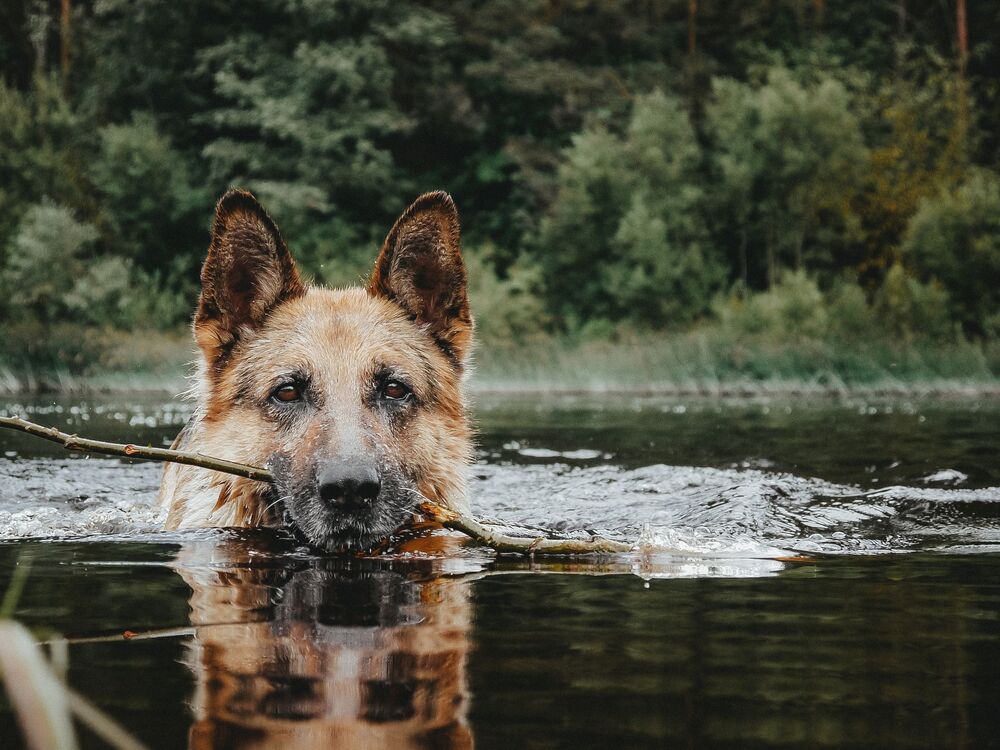 Photograph by Котов Артем