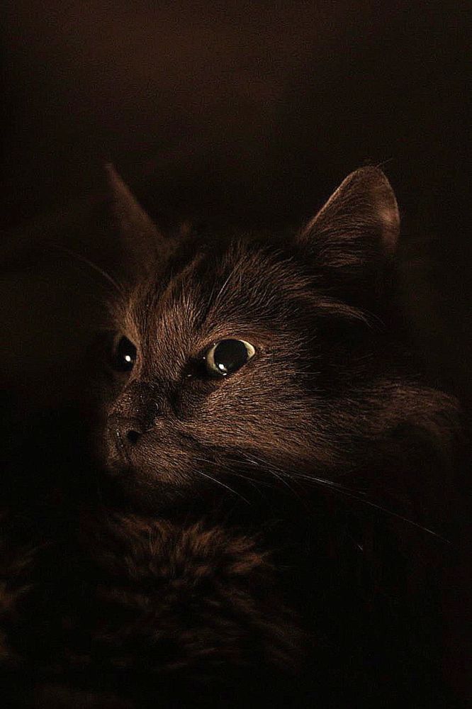 Photograph by Ekaterina