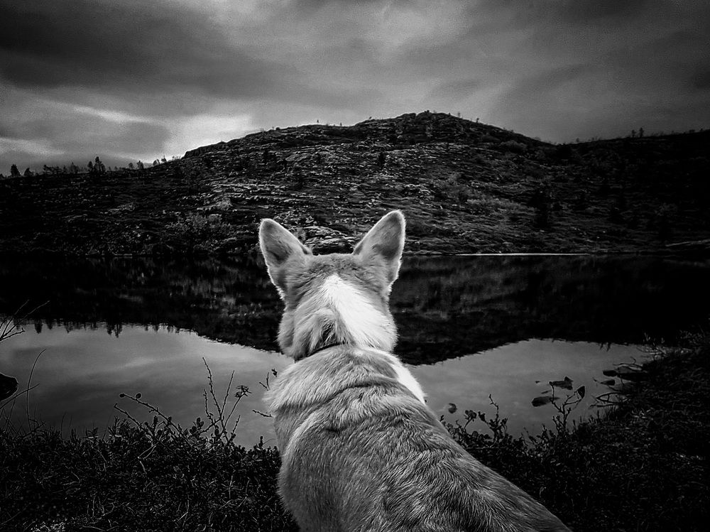 Photograph by Альвина Кузнецова