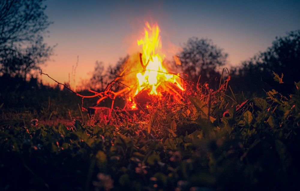 Photograph by Альберт Габбасов