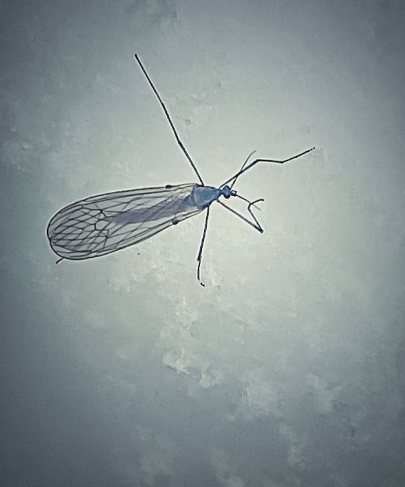 Photograph by Наталия Любчикова