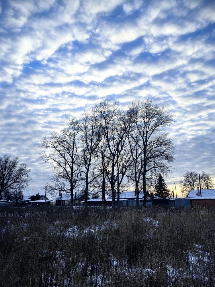 Photograph by Марина Побережная