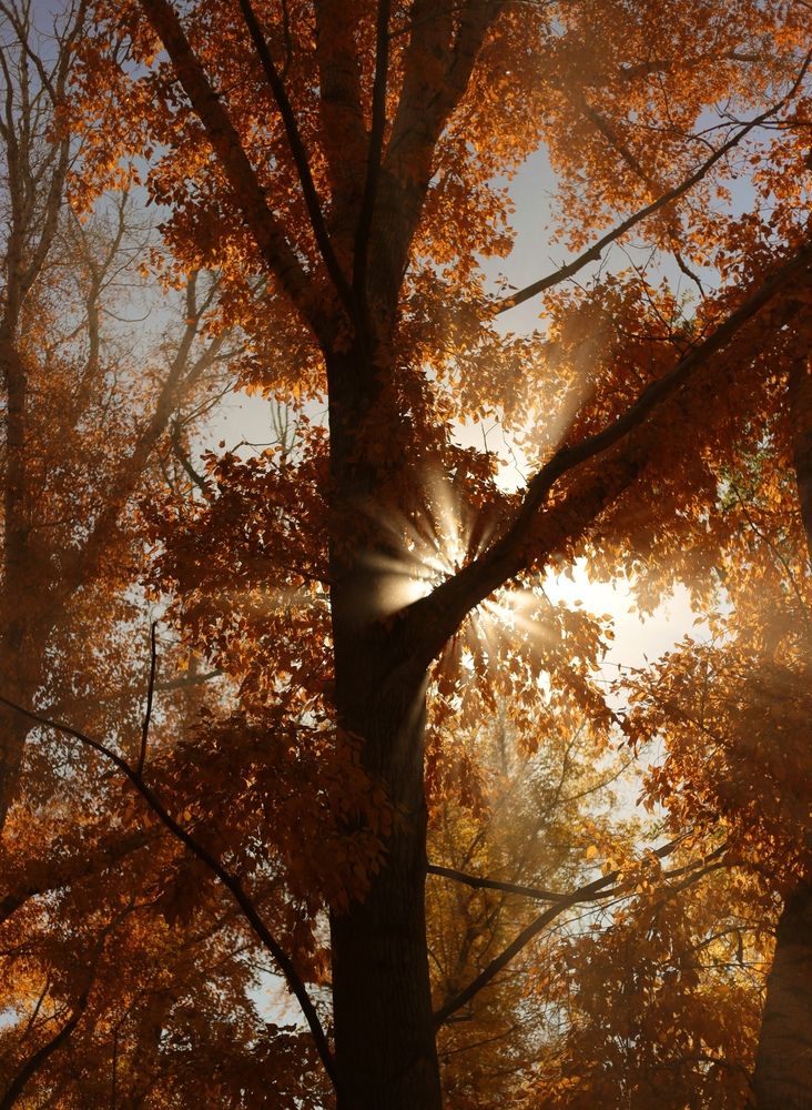 Photograph by Анжелика Авторханова