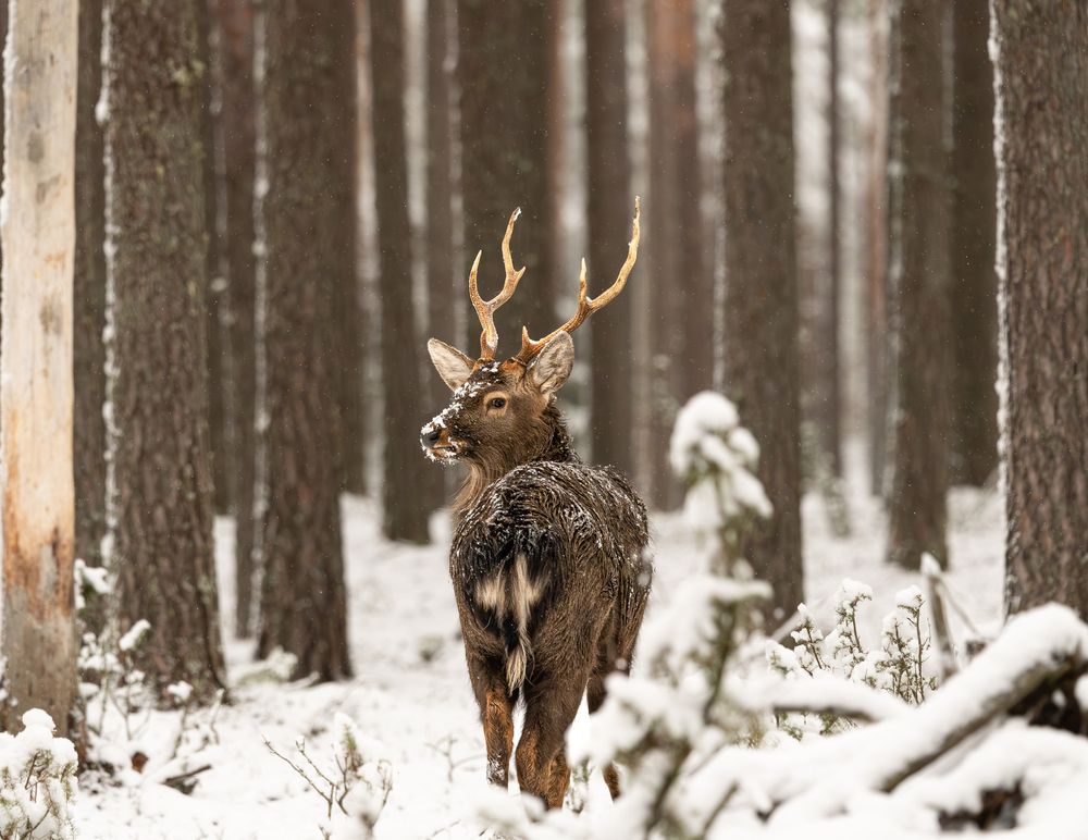Фотография автора Ольга Мисько