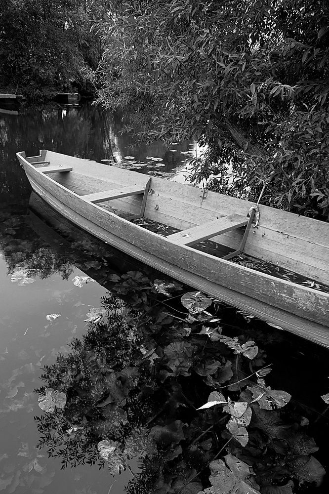 Photograph by Ольга Стоун