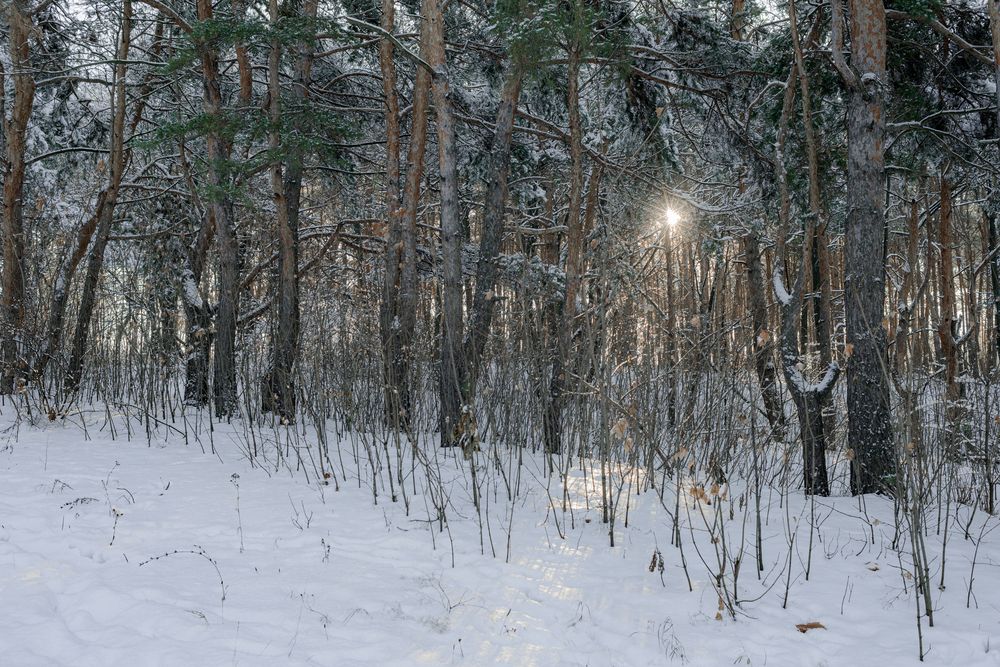 Photograph by Виктория Абрамова