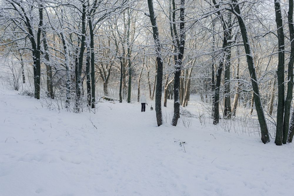 Photograph by Виктория Абрамова