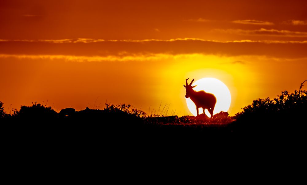 Фотография автора Sanath Shetty