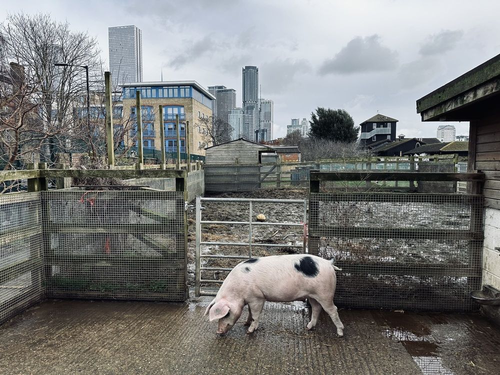 Photograph by Светлана Ионова