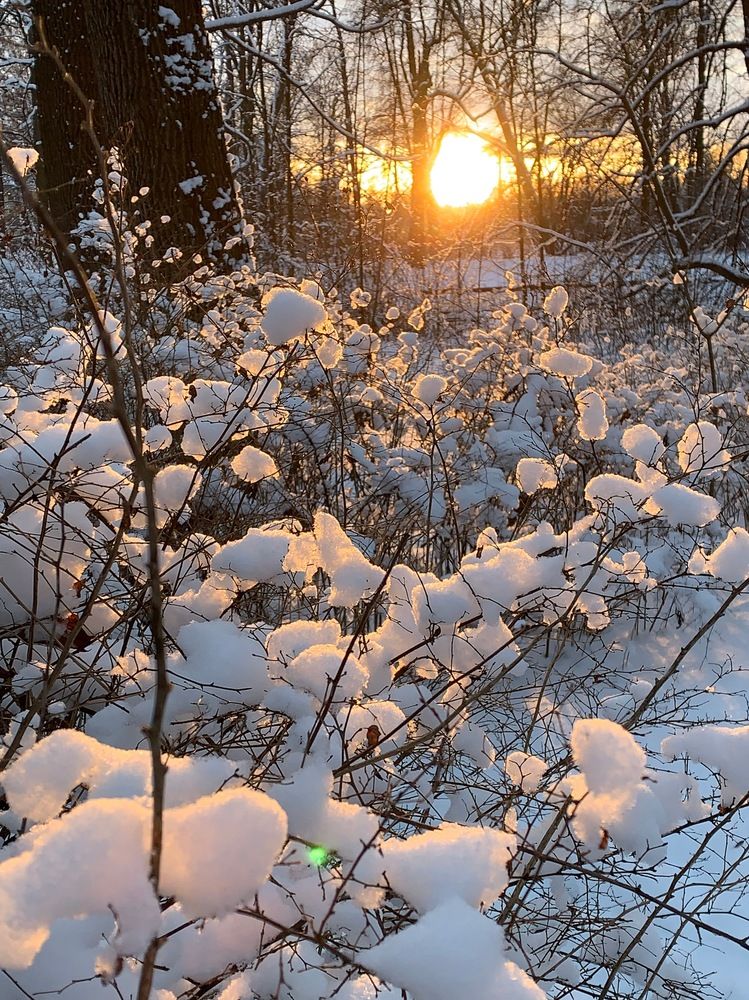 Фотография автора Natalia Kuzmina