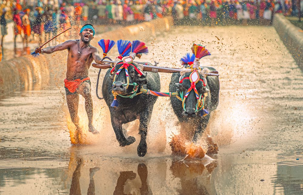 Фотография автора Sanath Shetty