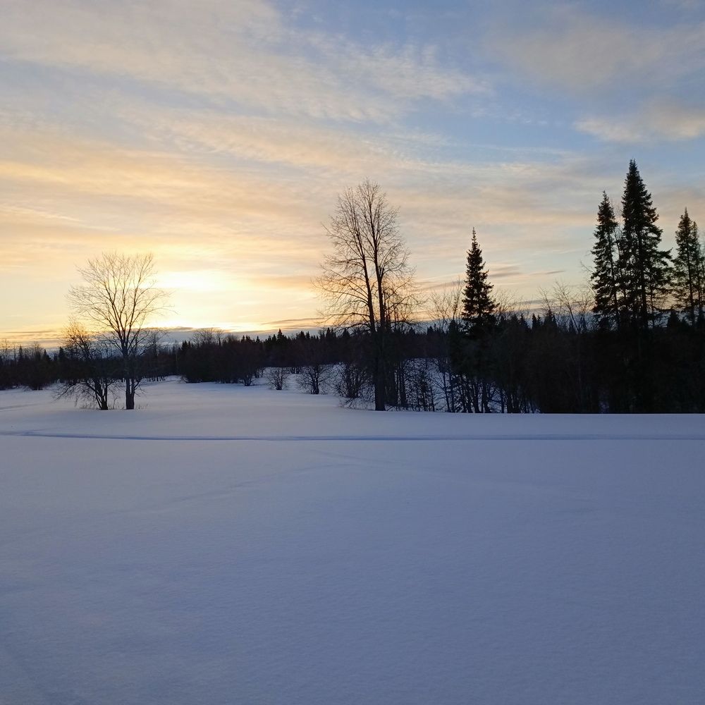 Photo #11961295