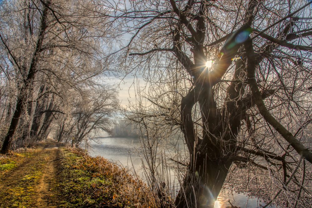 Photograph by Aleš Maučec