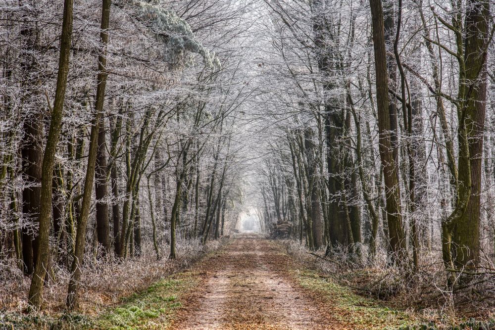 Photograph by Aleš Maučec