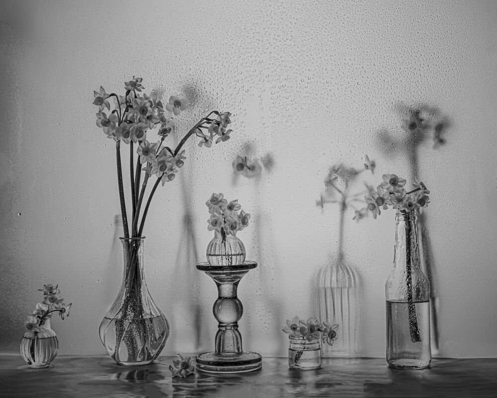 Photograph by Анастасия Тимарг