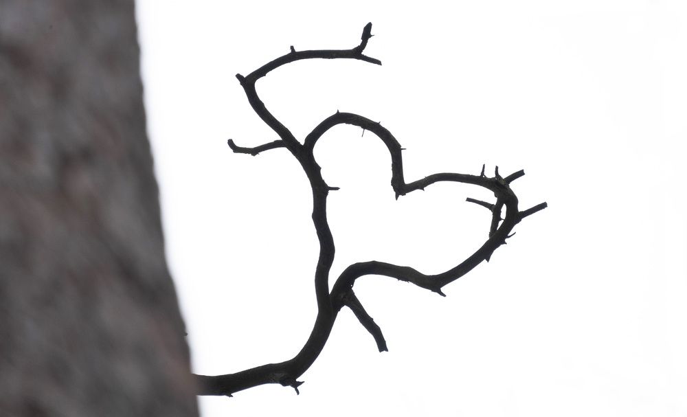 Photograph by Ольга Левакова