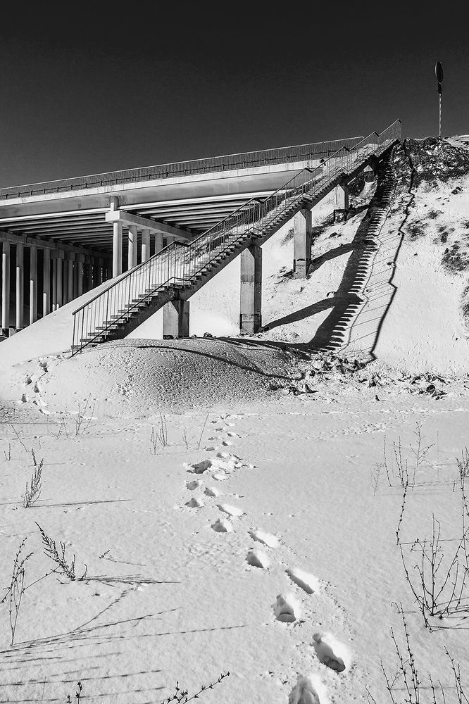 Photograph by Viktor Korotnev