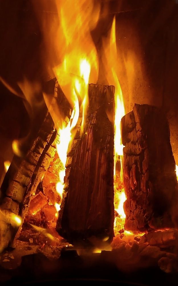 Фотография автора Рузинова Елена