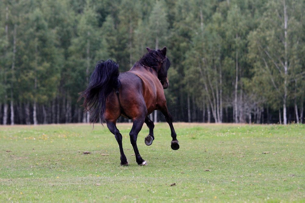 Photograph by Крашановская Юлия Валериевна