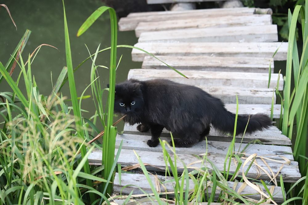 Photograph by Valeriy Bogushev