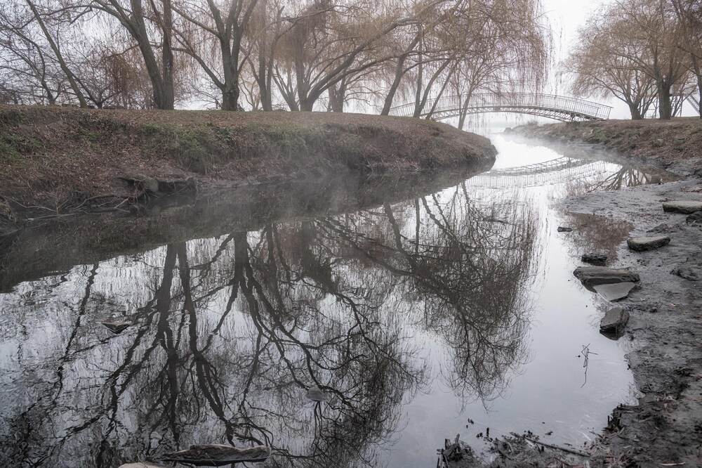 Зимнее утро