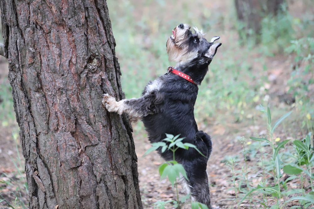 Photograph by Valeriy Bogushev