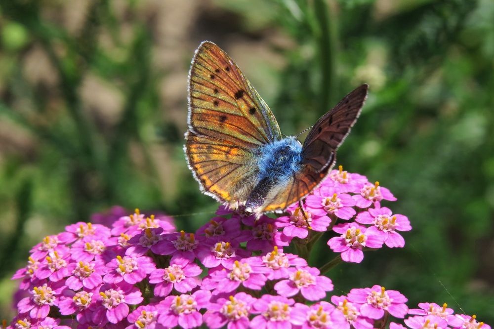 Photograph by Наташа Фишер