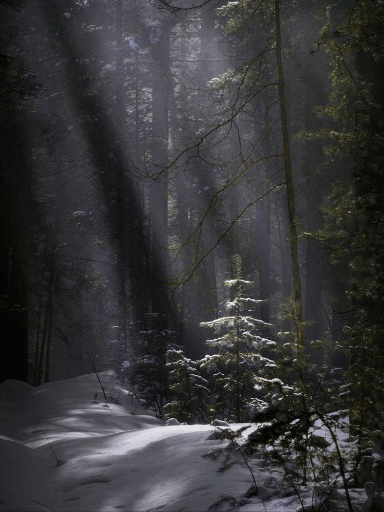 Photograph by Кузнецов Дмитрий