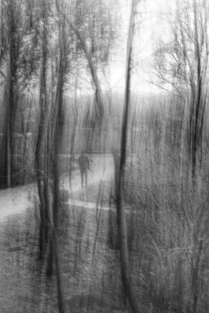 Photograph by Инна Карасева