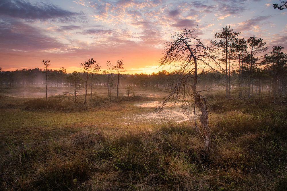 Photograph by Елена Ермолина