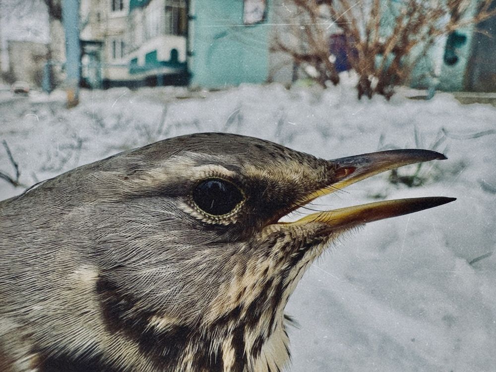 Photograph by Егор Кузнецов