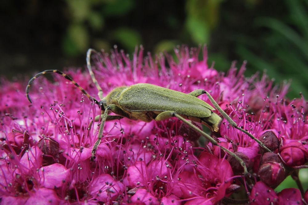 Photograph by Наташа Фишер