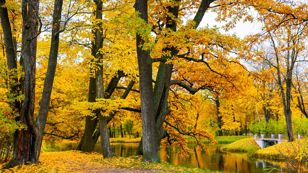 Photograph by Михаил Бояркин