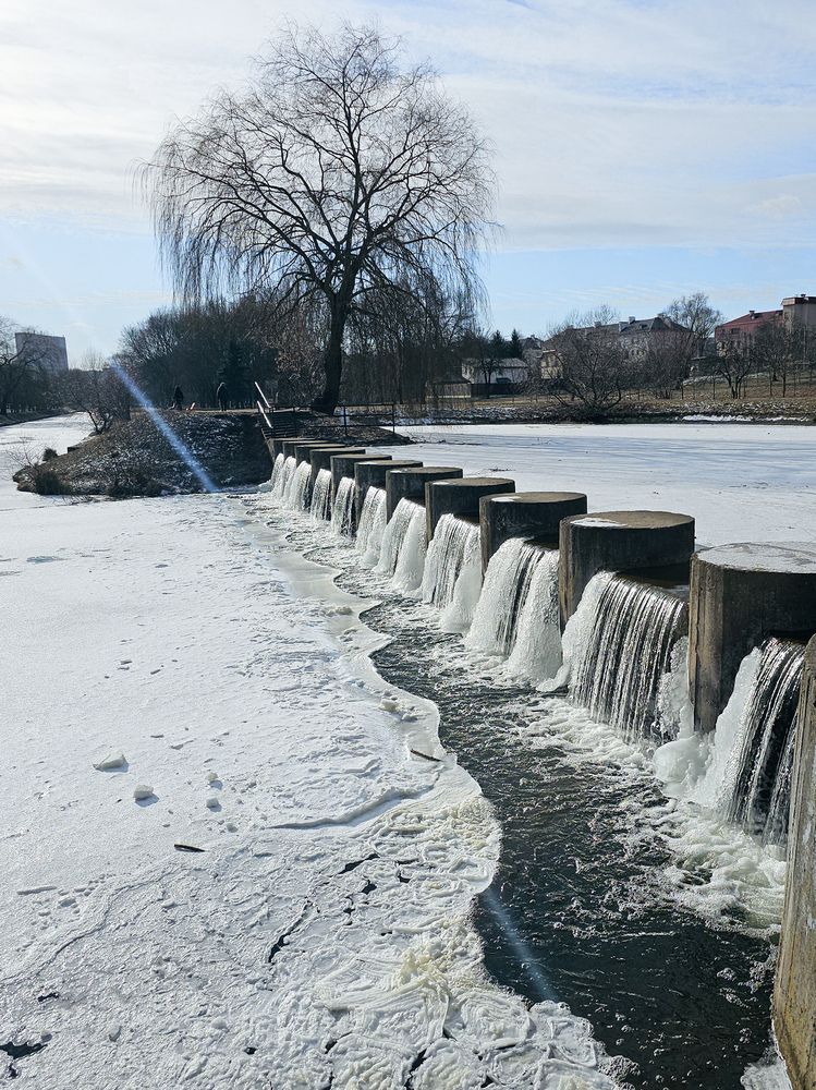 Фотография автора Ольга Шишук