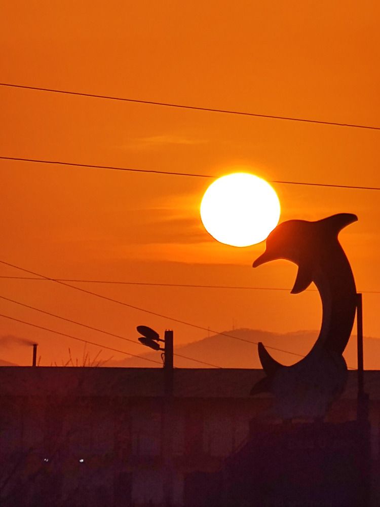 Photograph by Мария Устьянцева